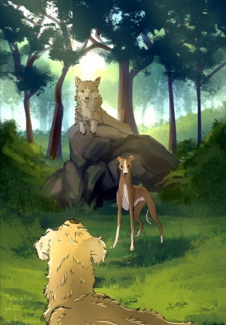 Хроники стаи счастливчик и альфа