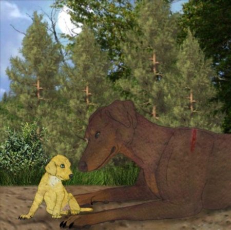 Эрин хантер хроники стаи арт