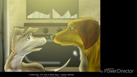 Счастливчик хроники стаи