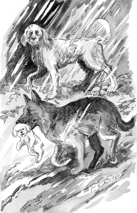 Эрин хантер хроники стаи собачья гроза