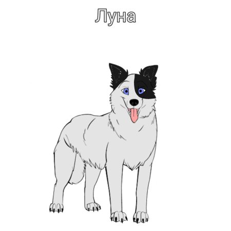 Хроники стаи луна