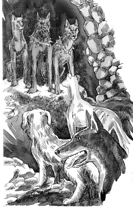 Хроники стаи путешествие изгнанницы