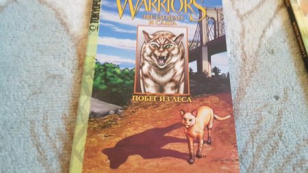 Коты воители эрин хантер