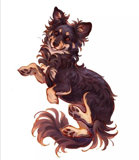 Рисунки животного