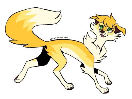 Кот воители