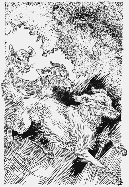 Хроники стаи. тайный враг