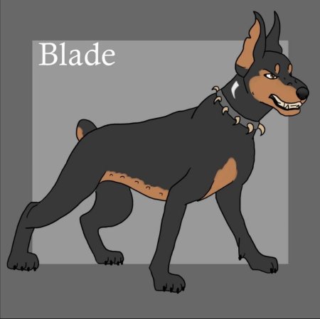 Доберман собака