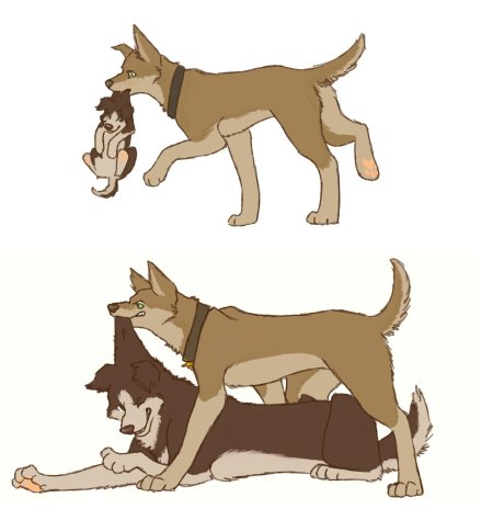 Сверхъестественное собаки арт