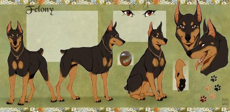 Доберман референс