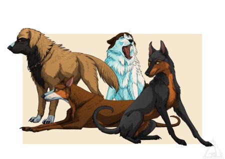 Коты воители свора собак