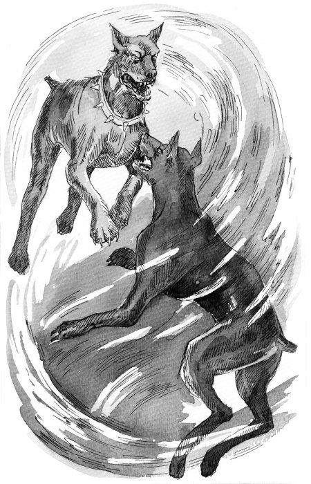 Хроники стаи путешествие изгнанницы