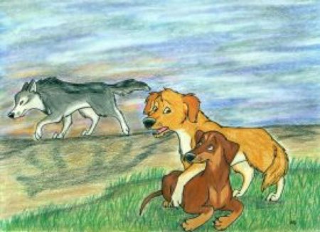 Хроники стаи кусака