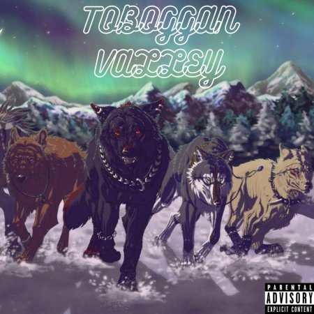 Вожак стаи волков арт