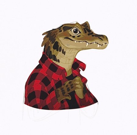 Крокодил аллигатор