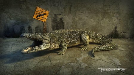 Заставка крокодил