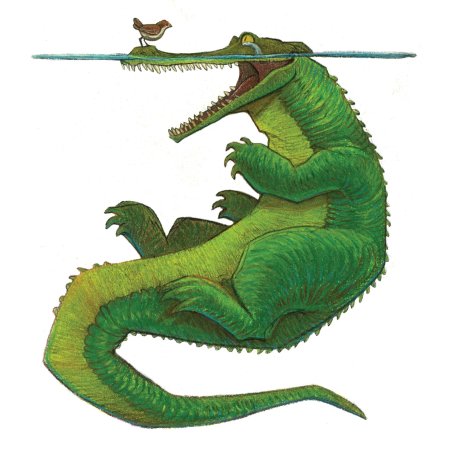 Крокодил иллюстрация