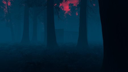 Фон ночного леса