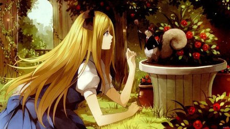 Алиса в стране чудес аниме