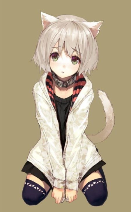 Неко девочка