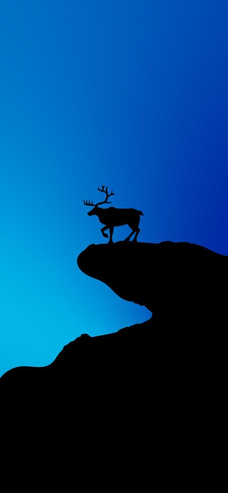 Силуэт северного оленя