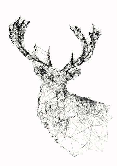 Эскиз олень