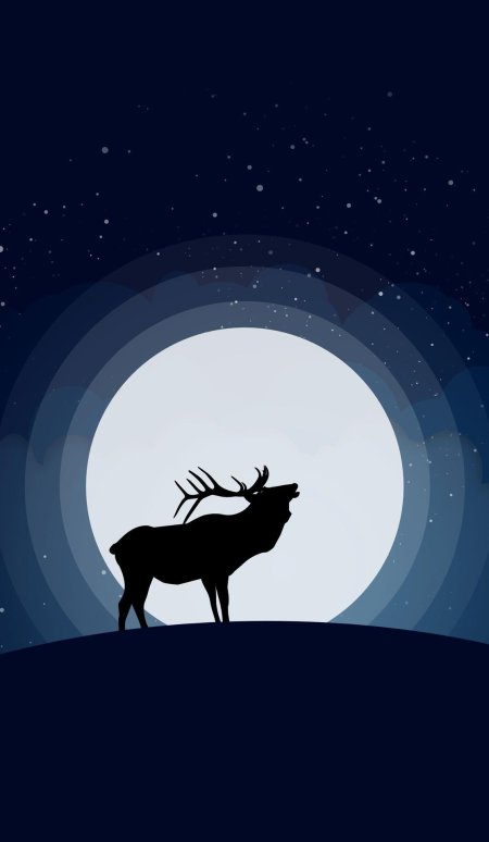 На фоне луны