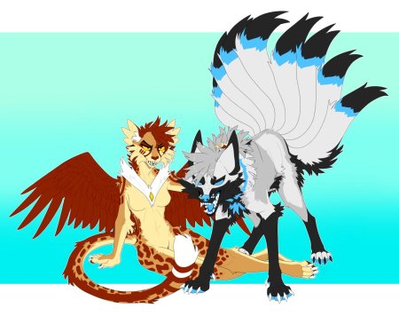 Ангельские драконы фурсона