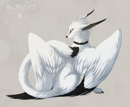 Orphen sirius лис