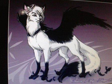 Волк аниме