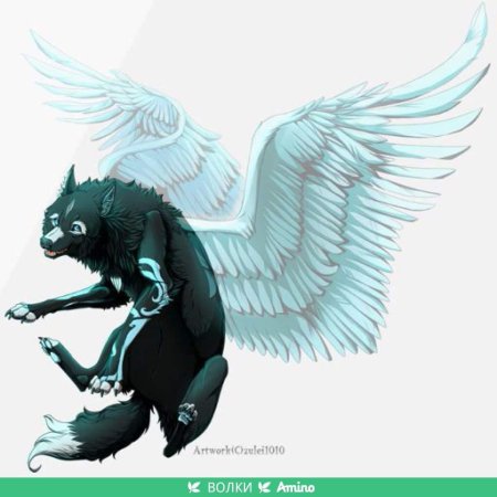 Волки с крыльями