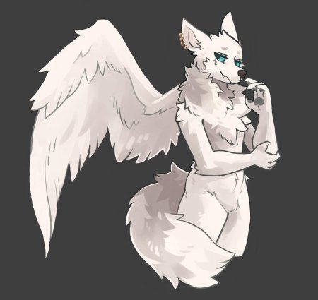 Фурри с крыльями