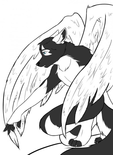 Симуран волчица