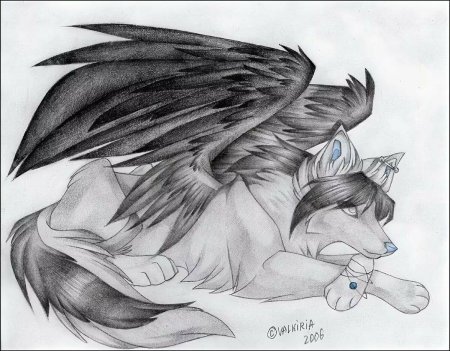 Волки с крыльями