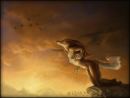 Симуран крылатый волк