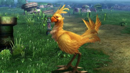 Chocobo final fantasy