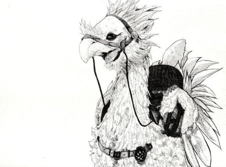 Рисунки петуха