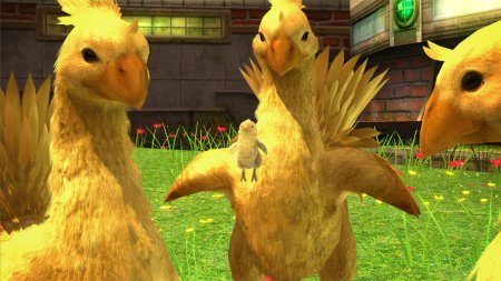 Чокобо final fantasy