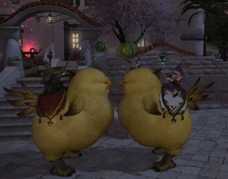 Жирный чокобо