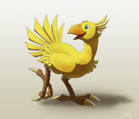 Вымышленная птица