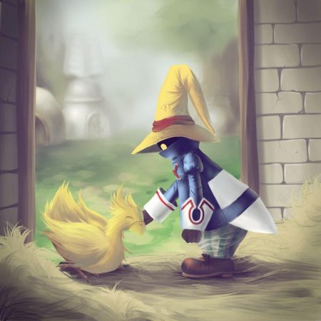 Виви орнитир