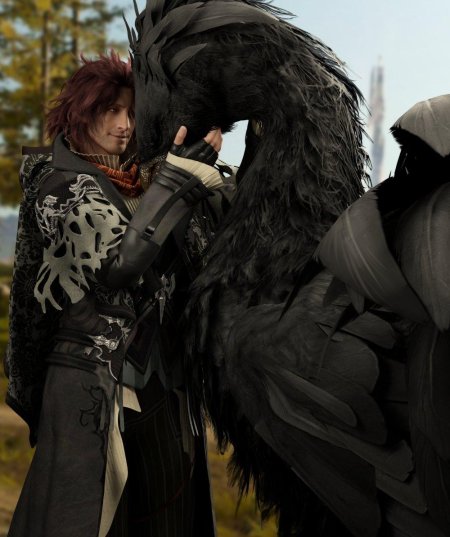 Final fantasy xv чокобо