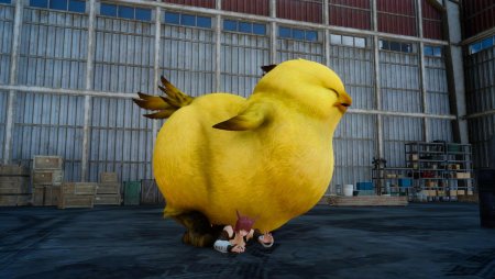 Чокобо final fantasy