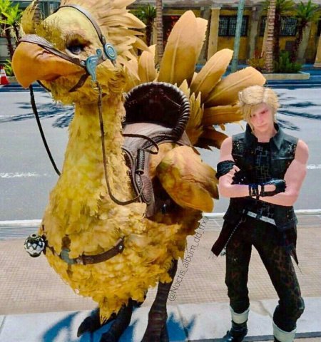 Финал фэнтези 15 чокобо