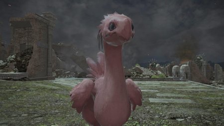 Чокобо final fantasy 14