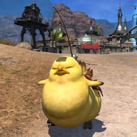 Ff14 fat chocobo