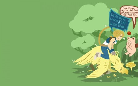 Legend of zelda link