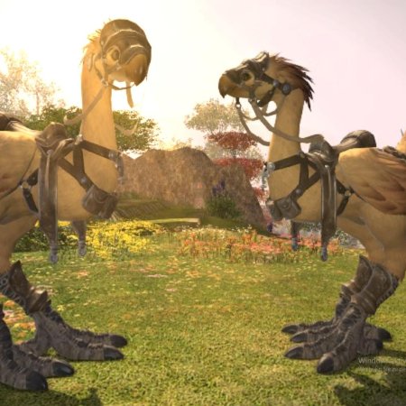 Чокобо final fantasy