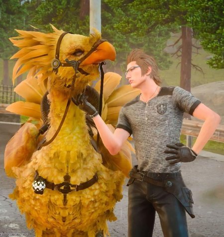 Финал фэнтези 15 чокобо