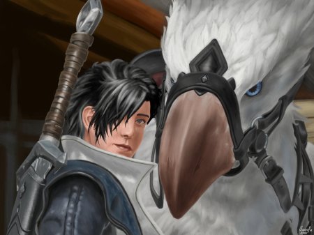 Final fantasy джилл