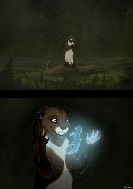 Фурри выдра